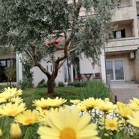 Leona Apartment Vidikovac, Pula Exteriér fotografie