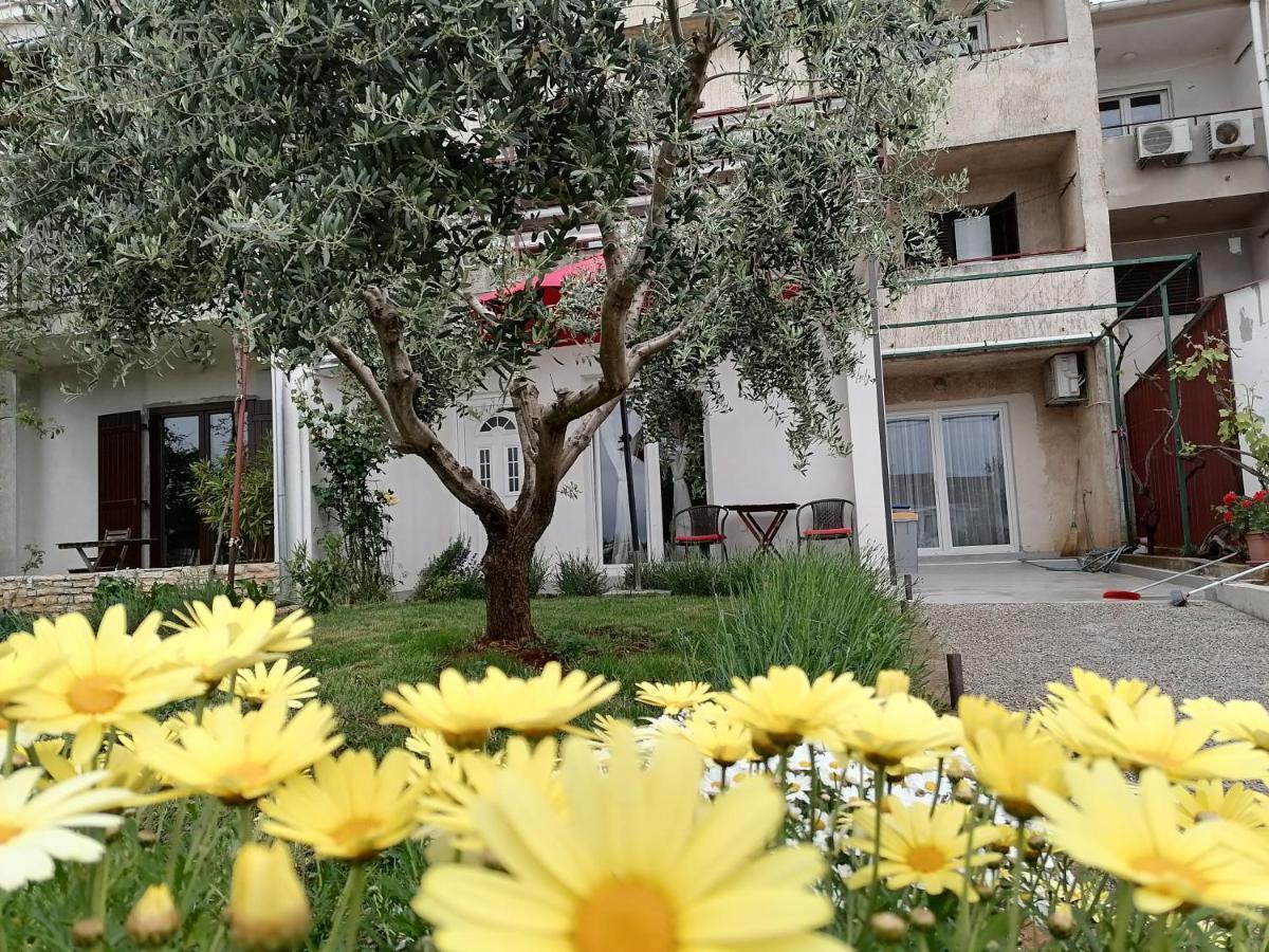 Leona Apartment Vidikovac, Pula Exteriér fotografie